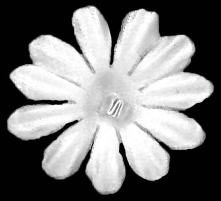 SATIN FLOWERS - IVORY